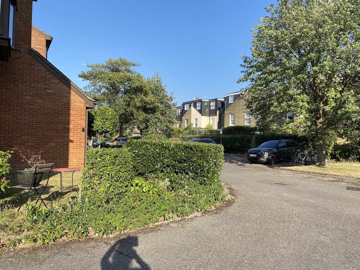 Hedge shaping and tidy-up