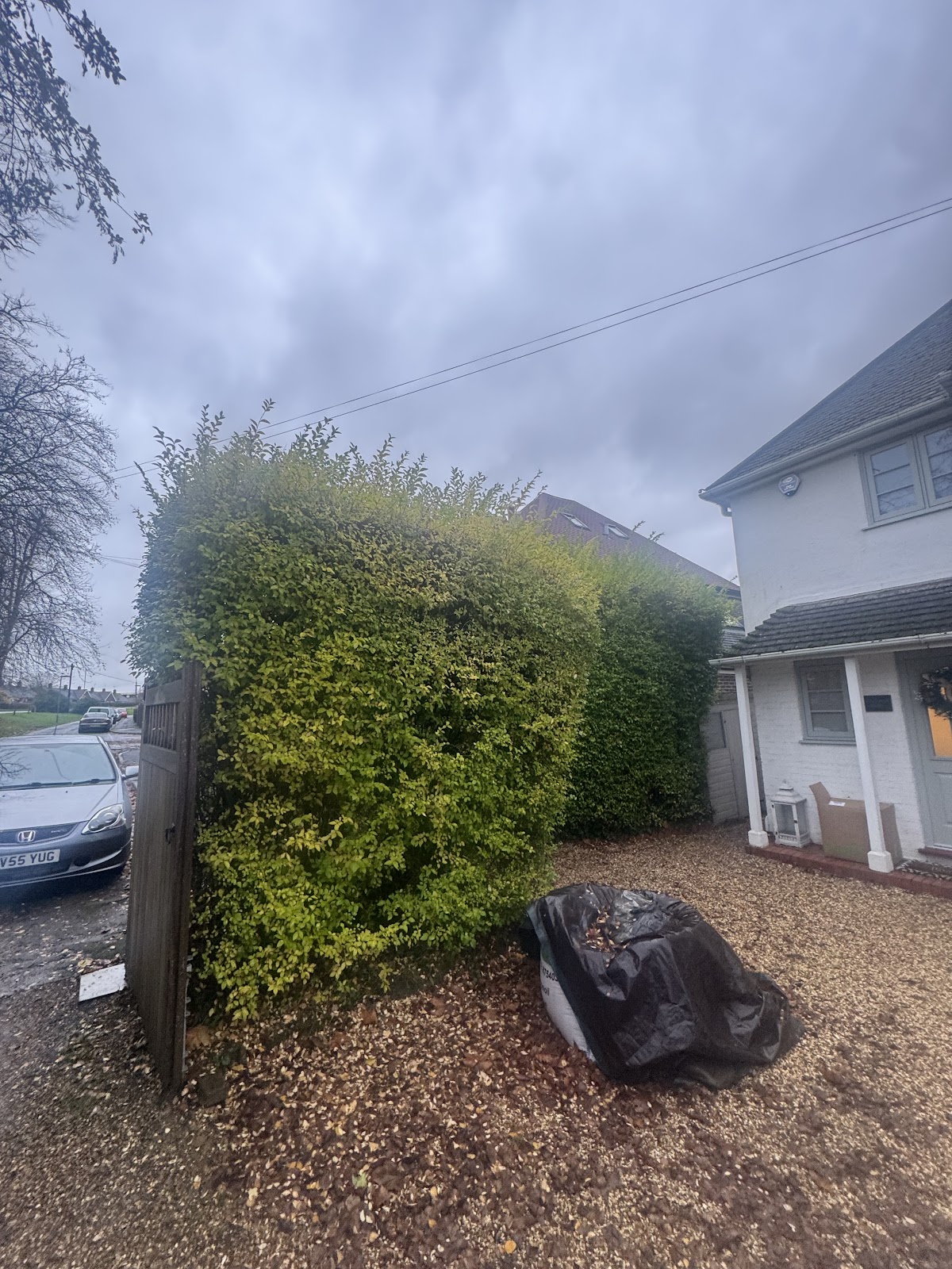 Hedge cut back and cleared