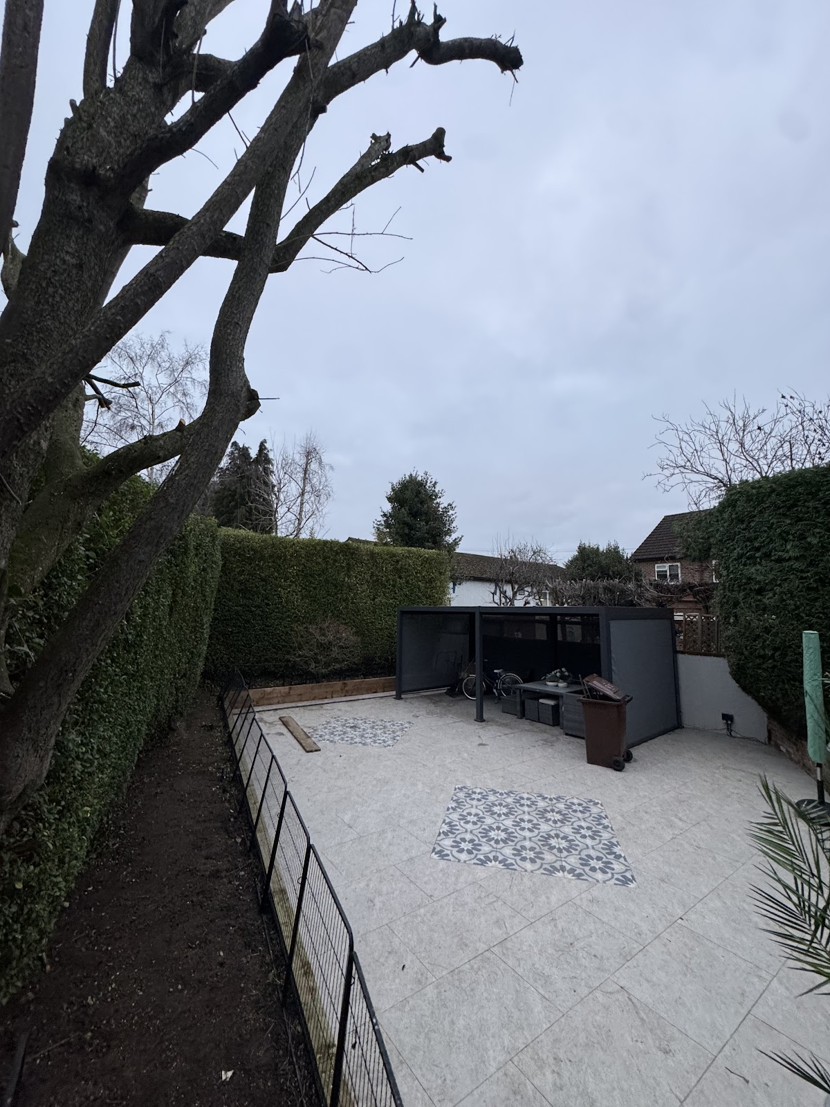 Pollarding on a landscaped garden